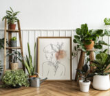 BIOFIOLO DESIGN – 10 TRUSES Useful for unique furnishings with the help of interior plants