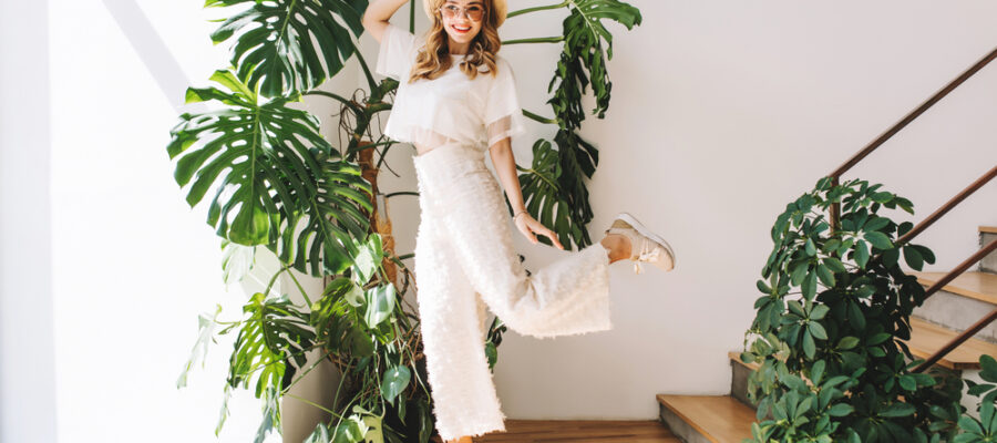Charity plants for the interiors: what do you choose for a healthy environment?