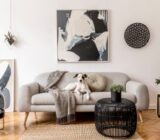 Which rugs are worn in the living room: advice and advice