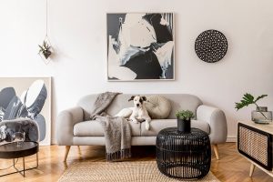 Which rugs are worn in the living room: advice and advice